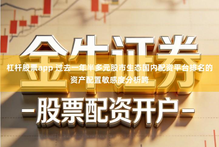 杠杆股票app 过去一年半多元股市生态国内配资平台排名的资产配置敏感度分析跨