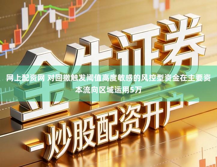 网上配资网 对回撤触发阈值高度敏感的风控型资金在主要资本流向区域运用5万